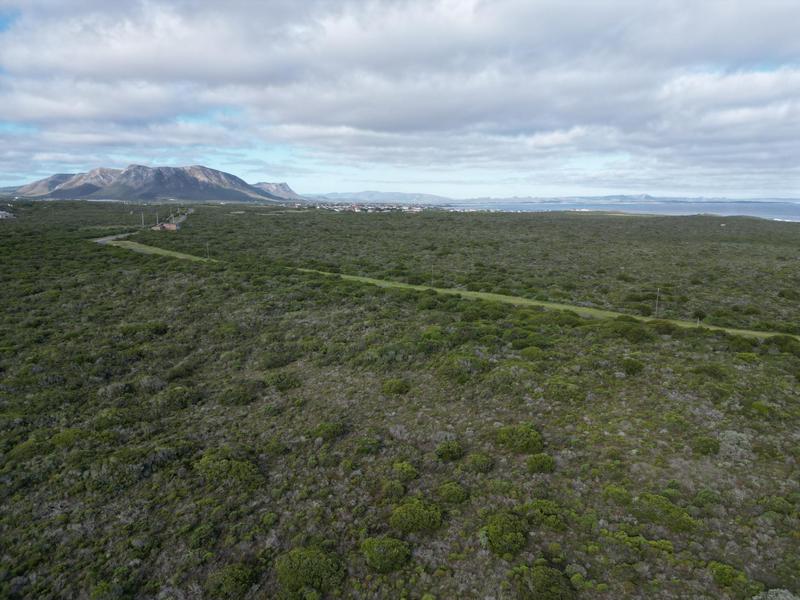 0 Bedroom Property for Sale in Birkenhead Western Cape